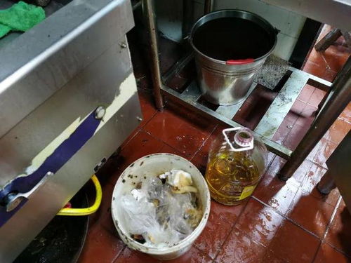 餐飲復(fù)工調(diào)查 積壓庫(kù)存引擔(dān)憂，服務(wù)安全需關(guān)注