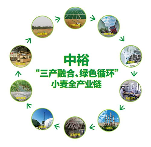 山東濱州 向綠向新，探索餐飲服務業高質量發展新路徑